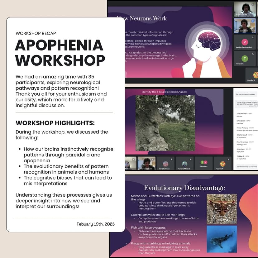 Apophenia Workshop