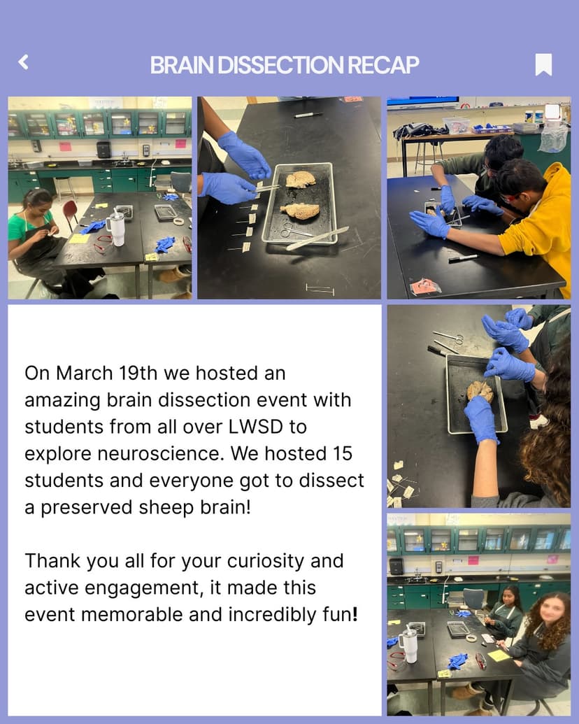 Brain Disection